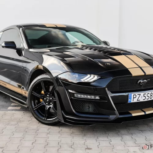 Miniatura ogłoszenia